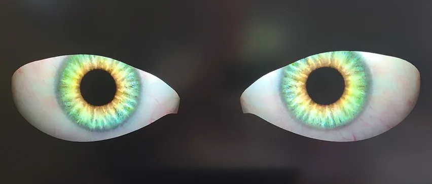 eyes